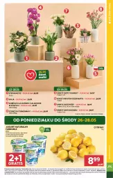 Gazetka promocyjna Stokrotka - Market - Gazetka - ważna od 28.05 do 28.05.2025 - strona 5 - produkty: Jogurt naturalny, Warzywa, Por, Gra, Tulipan, Kwiaty cięte, Jogurt, Cytryny, Kosz, Kalanchoe, Wazon, Storczyk, Farm Milk, Bukiet, Owoce, Mięso, Fa