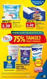 Gazetka promocyjna Lidl - GAZETKA - Gazetka - ważna od 04.01 do 04.01.2023 - strona 5 - produkty: Mozzarella, Jogurt, Pilos