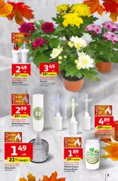 Gazetka promocyjna Auchan - Pewność niskich cen Hipermarket - Gazetka - ważna od 01.10 do 01.10.2025 - strona 5 - produkty: Gra, Rama, Cień, Bateria, Olej, Wkład olejowy