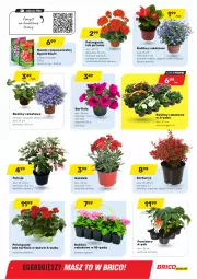 Gazetka promocyjna Bricomarche - Gazetka - Gazetka - ważna od 30.04 do 30.04.2021 - strona 6 - produkty: Koc, Surf, KOBO, Nawóz, Ogród, Pomidory