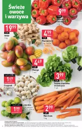 Gazetka promocyjna Stokrotka - Market - Gazetka - ważna od 24.01 do 24.01.2024 - strona 9 - produkty: Mandarynki, Warzywa, Sałata masłowa, Papryka czerwona, Papryka, Czosnek, Siatka, Sałat, Limonka, Owoce, Masło, Mango, Mięso, Imbir