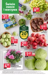 Gazetka promocyjna Stokrotka - Market - Gazetka - ważna od 25.10 do 25.10.2023 - strona 11 - produkty: Warzywa, Sok, Gra, Chryzantema, Granat, Sałat, Winogrona, Buraki, Owoce, Wino, Mięso