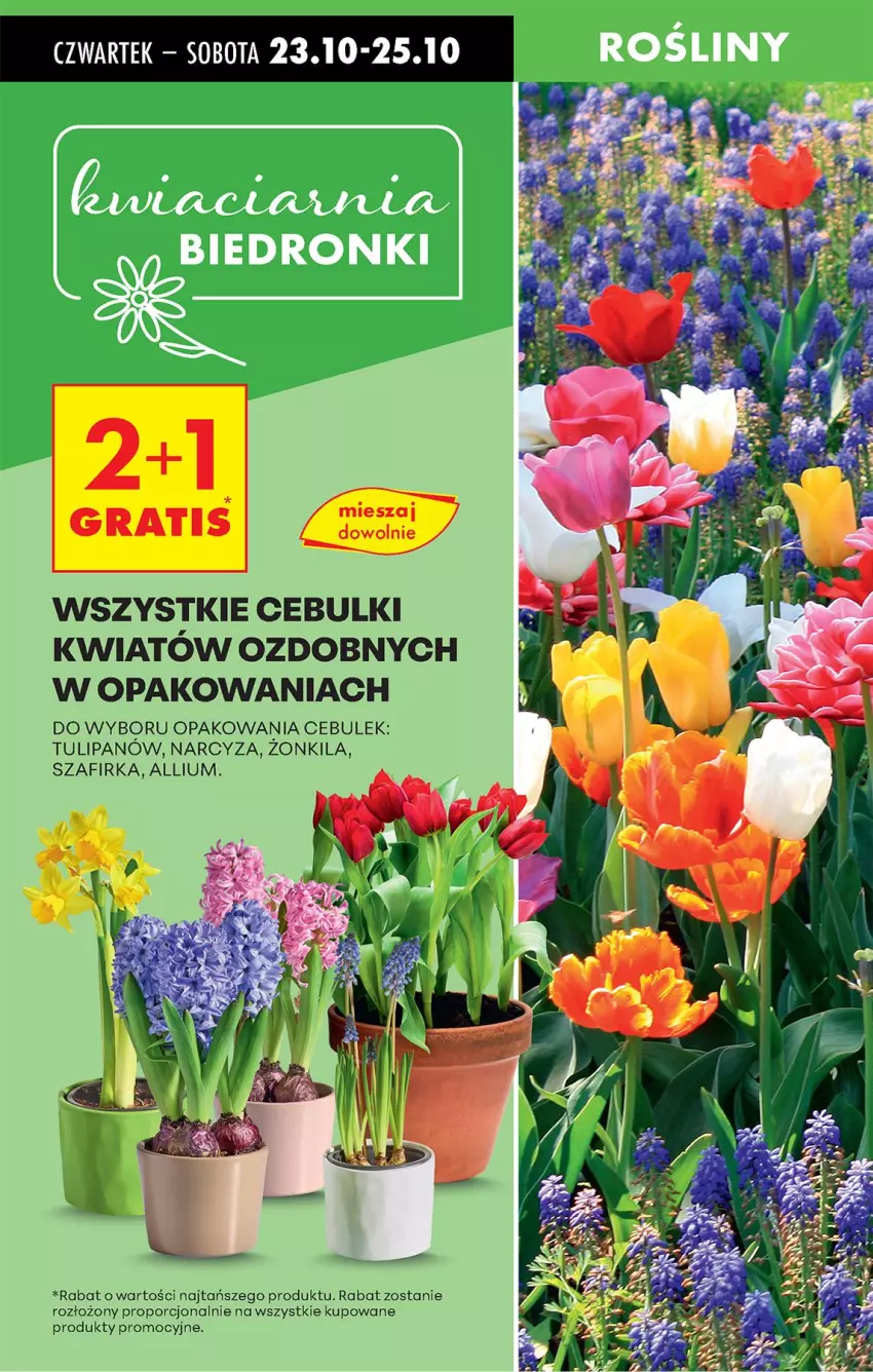 Gazetka promocyjna Biedronka - Od Czwartku - ważna 23.10 do 29.10.2025 - strona 19 - produkty: Gra, Narcyz, Por, Tulipan
