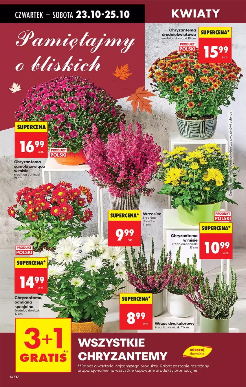 Gazetka promocyjna Biedronka - Od Czwartku - ważna 23.10 do 29.10.2025 - strona 20 - produkty: Chryzantema, Por