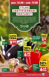 Gazetka promocyjna Aldi - Pełna oferta - Gazetka - ważna od 17.08 do 17.08.2024 - strona 5 - produkty: Papryka, Czosnek, Sałat, Pomidory