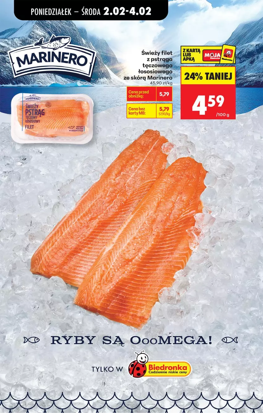 Gazetka promocyjna Biedronka - Gazetka - ważna 02.02 do 09.02.2026 - strona 40 - produkty: Fa, Pstrąg, Sos
