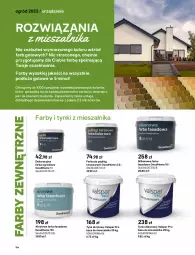 Gazetka promocyjna Castorama - Katalog Ogrody 2022 - Gazetka - ważna od 31.10 do 31.10.2022 - strona 114 - produkty: Sok, Por, Rama, Szal, Astor, Ogród, Dulux, Fa