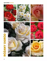 Gazetka promocyjna Castorama - Katalog Ogrody 2022 - Gazetka - ważna od 31.10 do 31.10.2022 - strona 170 - produkty: Hama, Róża, Ogród