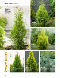 Gazetka promocyjna Castorama - Katalog Ogrody 2022 - Gazetka - ważna od 31.10 do 31.10.2022 - strona 172 - produkty: Wino, Ogród