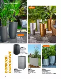 Gazetka promocyjna Castorama - Katalog Ogrody 2022 - Gazetka - ważna od 31.10 do 31.10.2022 - strona 174 - produkty: Sok, Gra, Rama, Astor, Ogród