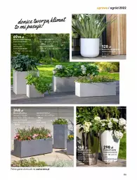 Gazetka promocyjna Castorama - Katalog Ogrody 2022 - Gazetka - ważna od 31.10 do 31.10.2022 - strona 175 - produkty: Sok, Gra, Rama, Astor, Ogród