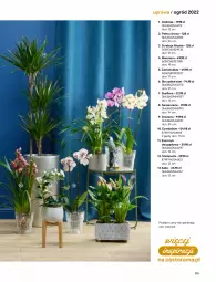 Gazetka promocyjna Castorama - Katalog Ogrody 2022 - Gazetka - ważna od 31.10 do 31.10.2022 - strona 179 - produkty: Rama, Tera, Palma, Storczyk, Astor, Ogród, Fa