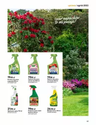 Gazetka promocyjna Castorama - Katalog Ogrody 2022 - Gazetka - ważna od 31.10 do 31.10.2022 - strona 187 - produkty: Piec, Warzywa, Grzyby, Rama, Warzywa i owoce, Owoce, Astor, Ogród