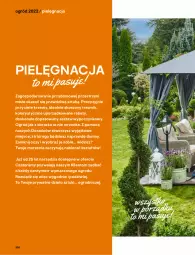Gazetka promocyjna Castorama - Katalog Ogrody 2022 - Gazetka - ważna od 31.10 do 31.10.2022 - strona 208 - produkty: Por, Kosz, Astor, Obraz, Ogród