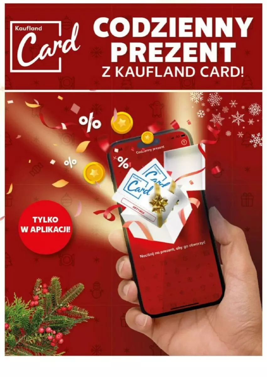 Gazetka promocyjna Kaufland - ważna 23.12 do 24.12.2024 - strona 2