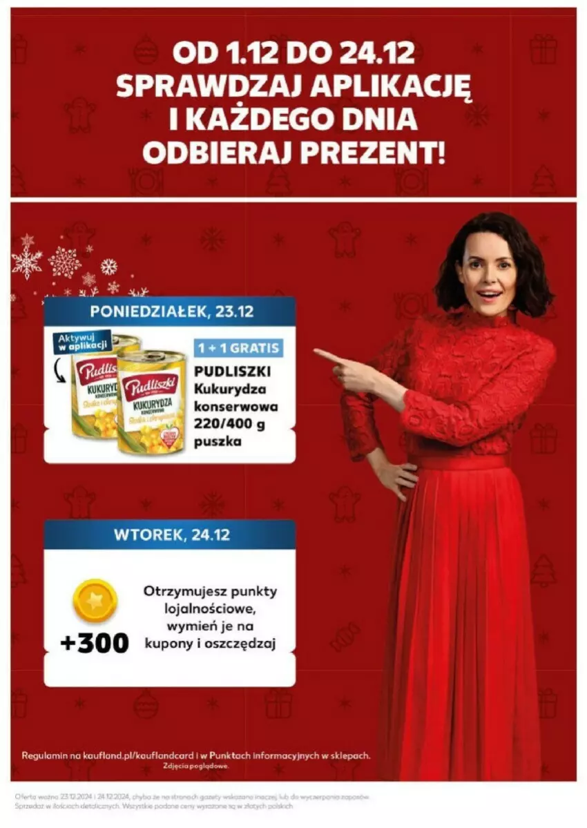 Gazetka promocyjna Kaufland - ważna 23.12 do 24.12.2024 - strona 3 - produkty: Kukurydza, Kukurydza konserwowa, Pudliszki, Ser