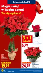 Gazetka promocyjna Lidl - GAZETKA - Gazetka - ważna od 10.12 do 10.12.2025 - strona 68 - produkty: Sok, Gra, Gwiazda