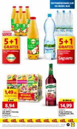 Gazetka promocyjna Lidl - GAZETKA - Gazetka - ważna od 10.01 do 10.01.2024 - strona 33 - produkty: Sok, Gra, LANA, Leon, Syrop, Woda, Herbapol, Psi Patrol, Hortex