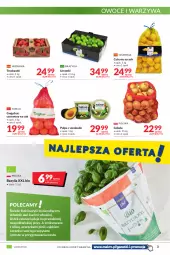 Gazetka promocyjna Makro - [Oferta promocyjna] Artykuły spożywcze i przemysłowe - Gazetka - ważna od 07.02 do 07.02.2022 - strona 3 - produkty: Cebula, Warzywa, Sok, Truskawki, Cytryny, Stek, Pesto, Bazyl, Owoce, Bazylia, Grejpfrut