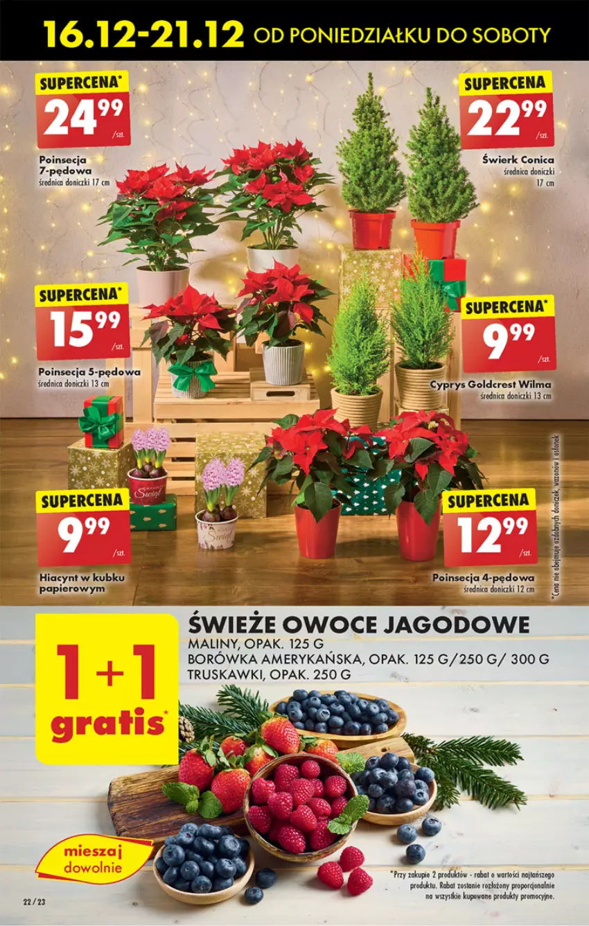 Gazetka promocyjna Biedronka - Od Poniedziałku - ważna 16.12 do 21.12.2024 - strona 24 - produkty: Borówka, Borówka amerykańska, Maliny, Owoce, Poinsecja, Por, Truskawki