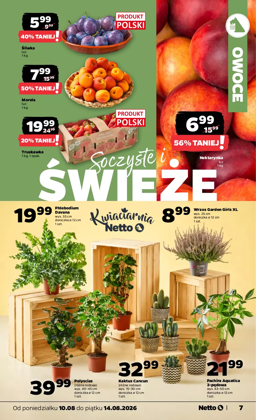 Gazetka promocyjna Netto - Od Poniedziałku - ważna 10.08 do 14.08.2026 - strona 7 - produkty: Kaktus, Morela, Nektar, Nektarynka, Owoce