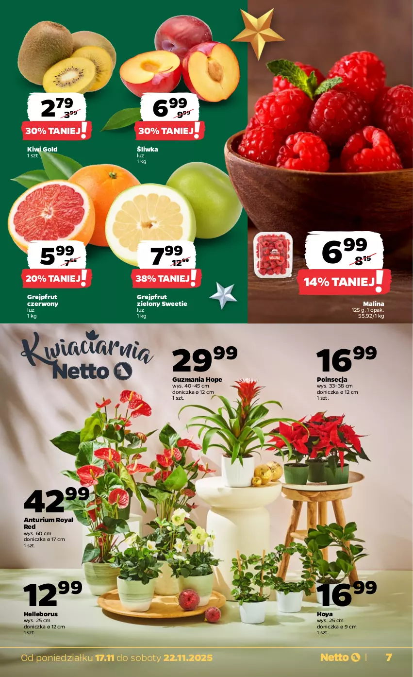 Gazetka promocyjna Netto - Od Poniedziałku - ważna 17.11 do 22.11.2025 - strona 7 - produkty: Grejpfrut, Kiwi, Poinsecja