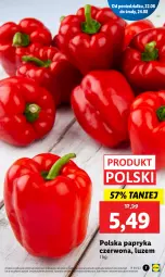 Gazetka promocyjna Lidl - GAZETKA - Gazetka - ważna od 24.08 do 24.08.2022 - strona 7 - produkty: Papryka czerwona, Papryka