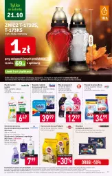 Gazetka promocyjna Stokrotka - Supermarket - Gazetka - ważna od 25.10 do 25.10.2023 - strona 20 - produkty: Ludwik, Warzywa, Finish, Tablet, Proszek do prania, Płyn do płukania, Znicz, Owoce, Felix, Płyn do mycia, Bryza, Mięso, Pedigree