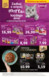 Gazetka promocyjna Stokrotka - Supermarket - Gazetka - ważna od 25.10 do 25.10.2023 - strona 7 - produkty: Warzywa, Whiskas, Sheba, Owoce, Mięso