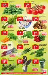 Gazetka promocyjna PoloMarket - Gazetka promocyjna - Gazetka - ważna od 15.06 do 15.06.2021 - strona 7 - produkty: Piec, Cebula, Kaki, Ziemniaki, Natka pietruszki, Grunt, Odol, Mięta