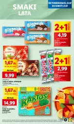 Gazetka promocyjna Lidl - GAZETKA - Gazetka - ważna od 24.07 do 24.07.2024 - strona 35 - produkty: Gra, Kaktus, Big Milk, Lody