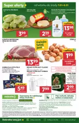 Gazetka promocyjna Stokrotka - Market Opole/Radom - Gazetka - ważna od 08.01 do 08.01.2025 - strona 17 - produkty: Piwa, Piwo, Cebula, Warzywa, Ser, JBL, Gra, Coccolino, Salami, Telefon, Szal, O nas, Dres, Płyn do płukania, Wkład filtrujący, Owoce, Felix, Ser salami, Wagi, Mięso
