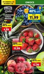 Gazetka promocyjna Lidl - GAZETKA - Gazetka - ważna od 07.06 do 07.06.2025 - strona 20 - produkty: Truskawki, Ananas, Brzoskwinie, Owoce