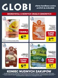 Gazetka promocyjna Carrefour - Gazetka Globi - Gazetka - ważna od 02.02 do 02.02.2026 - strona 1 - produkty: Mąka, Brzoskwinie, Woda mineralna, Mąka pszenna, Woda, Kakao