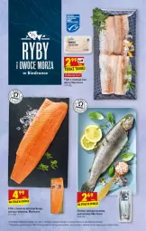 Gazetka promocyjna Biedronka - W tym tygodniu - Gazetka - ważna od 19.01 do 19.01.2022 - strona 19 - produkty: Sos, Sok, Por, Pstrąg tęczowy, Filet z mintaja, Tera, , Pstrąg, Mintaj