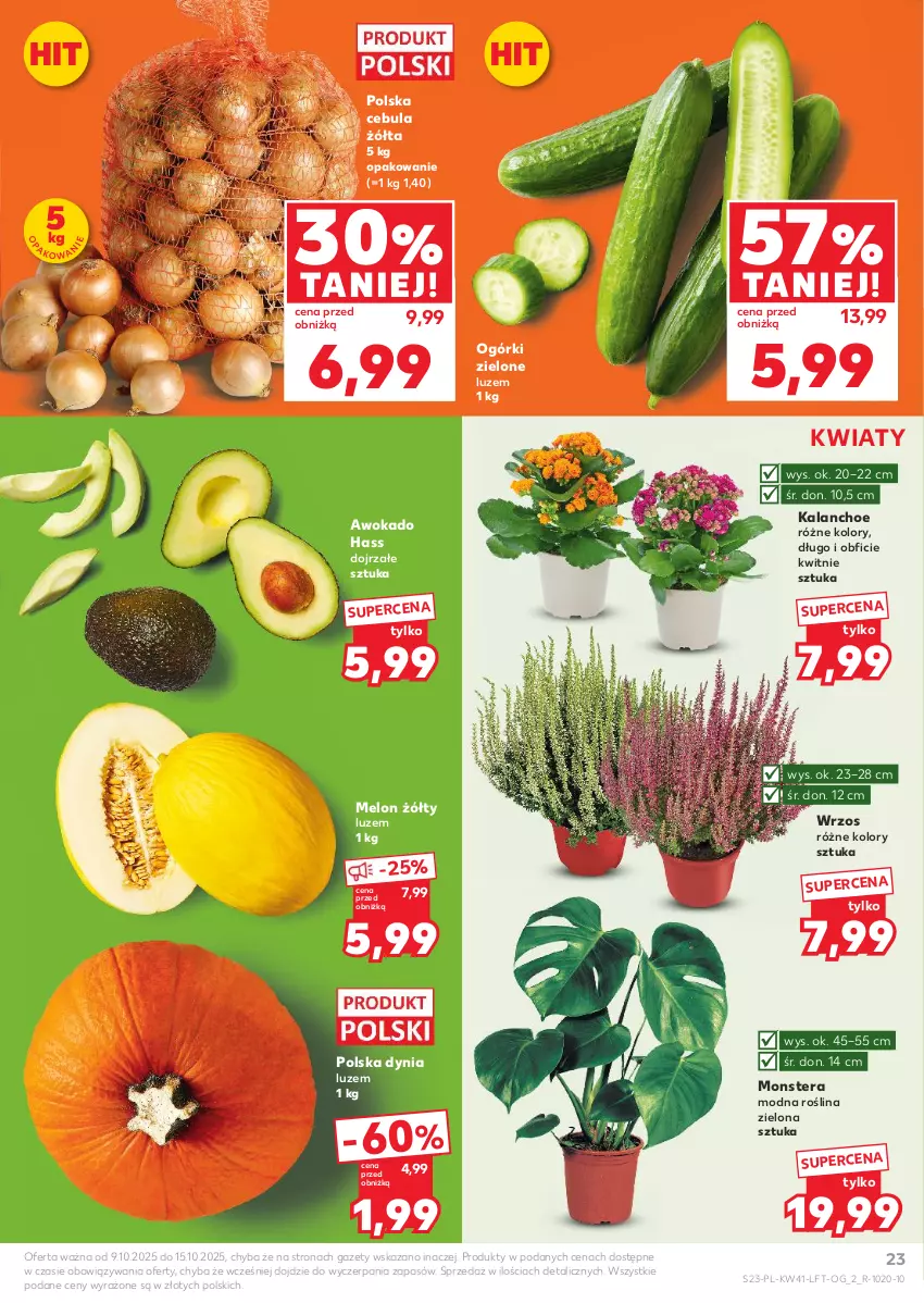 Gazetka promocyjna Kaufland - Gazetka tygodnia - ważna 09.10 do 15.10.2025 - strona 23 - produkty: Cebula, Kalanchoe, Melon, Tera
