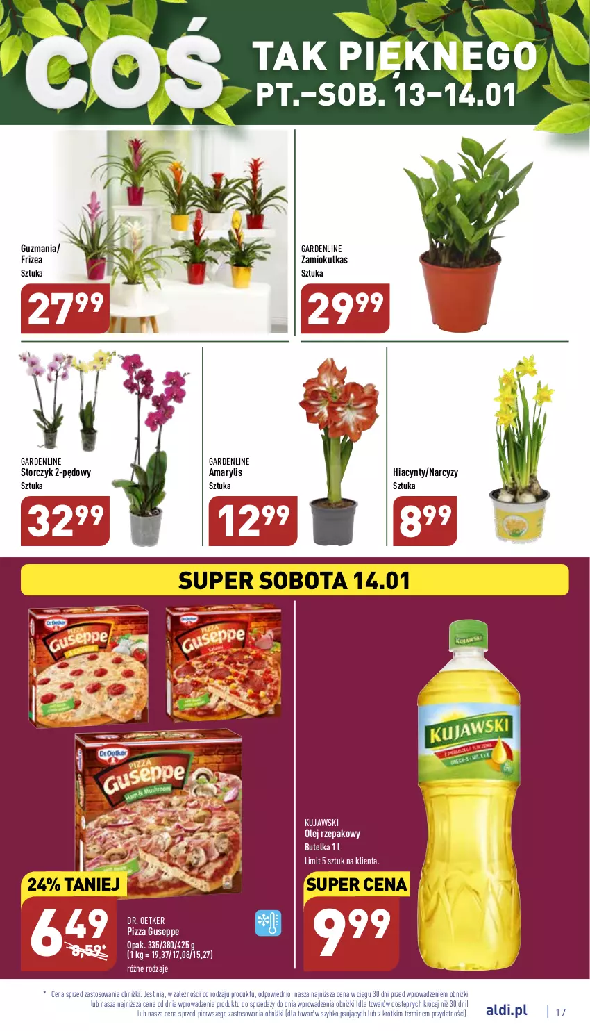 Gazetka promocyjna Aldi - Pełny katalog - ważna 09.01 do 14.01.2023 - strona 17 - produkty: Amarylis, Dr. Oetker, Hiacynt, Kujawski, Narcyz, Olej, Olej rzepakowy, Pizza, Storczyk