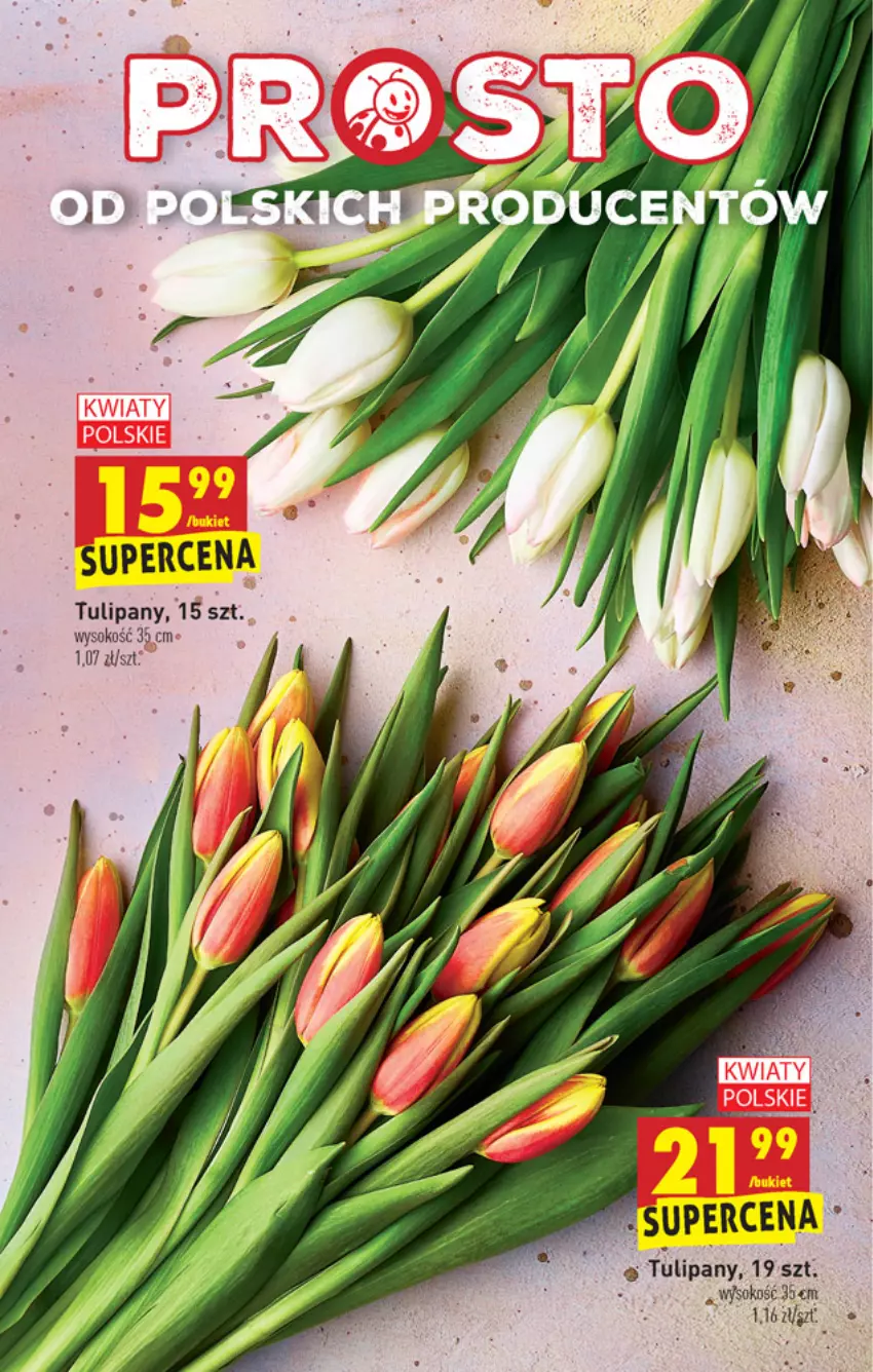 Gazetka promocyjna Biedronka - W tym tygodniu - ważna 18.03 do 24.03.2021 - strona 61 - produkty: Sok, Tulipan