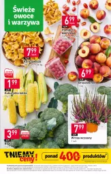 Gazetka promocyjna Stokrotka - Supermarket - Gazetka - ważna od 30.08 do 30.08.2023 - strona 7 - produkty: Warzywa, Brzoskwinie, Owoce, Pomidory, Mięso, Kukurydza