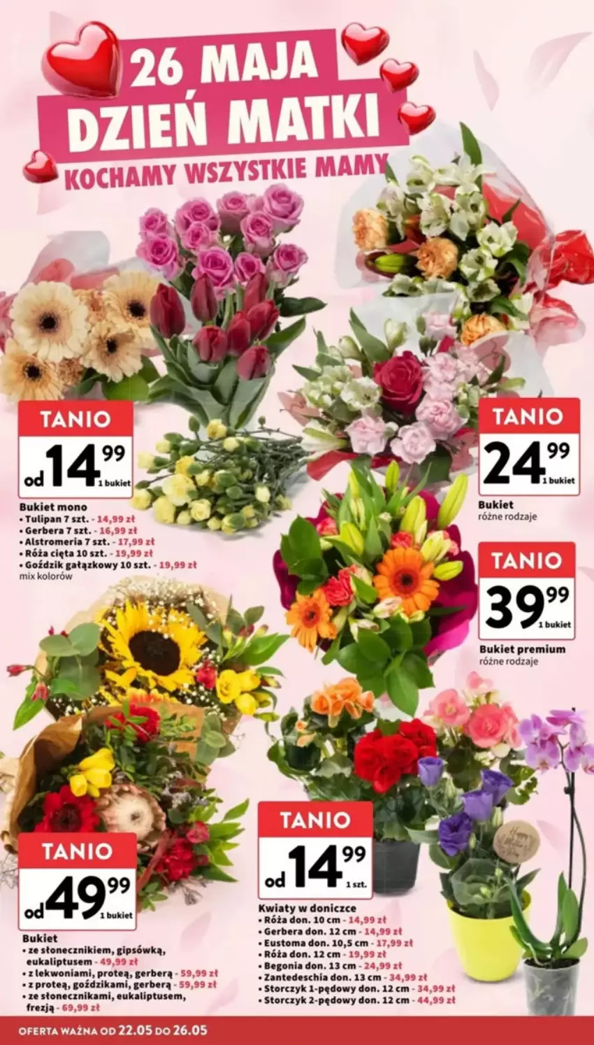Gazetka promocyjna Intermarche - ważna 22.05 do 28.05.2025 - strona 2 - produkty: Bukiet, Chia, Gerber, Róża, Storczyk, Tulipan