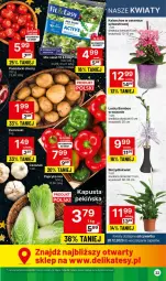 Gazetka promocyjna Delikatesy Centrum - NOWA GAZETKA Delikatesy Centrum od 27 grudnia! 27.12.2023-03.01.2024 - Gazetka - ważna od 03.01 do 03.01.2024 - strona 22 - produkty: Sok, Papryka, Pomidorki, Ziemniaki, Kalanchoe, Wazon, Fa