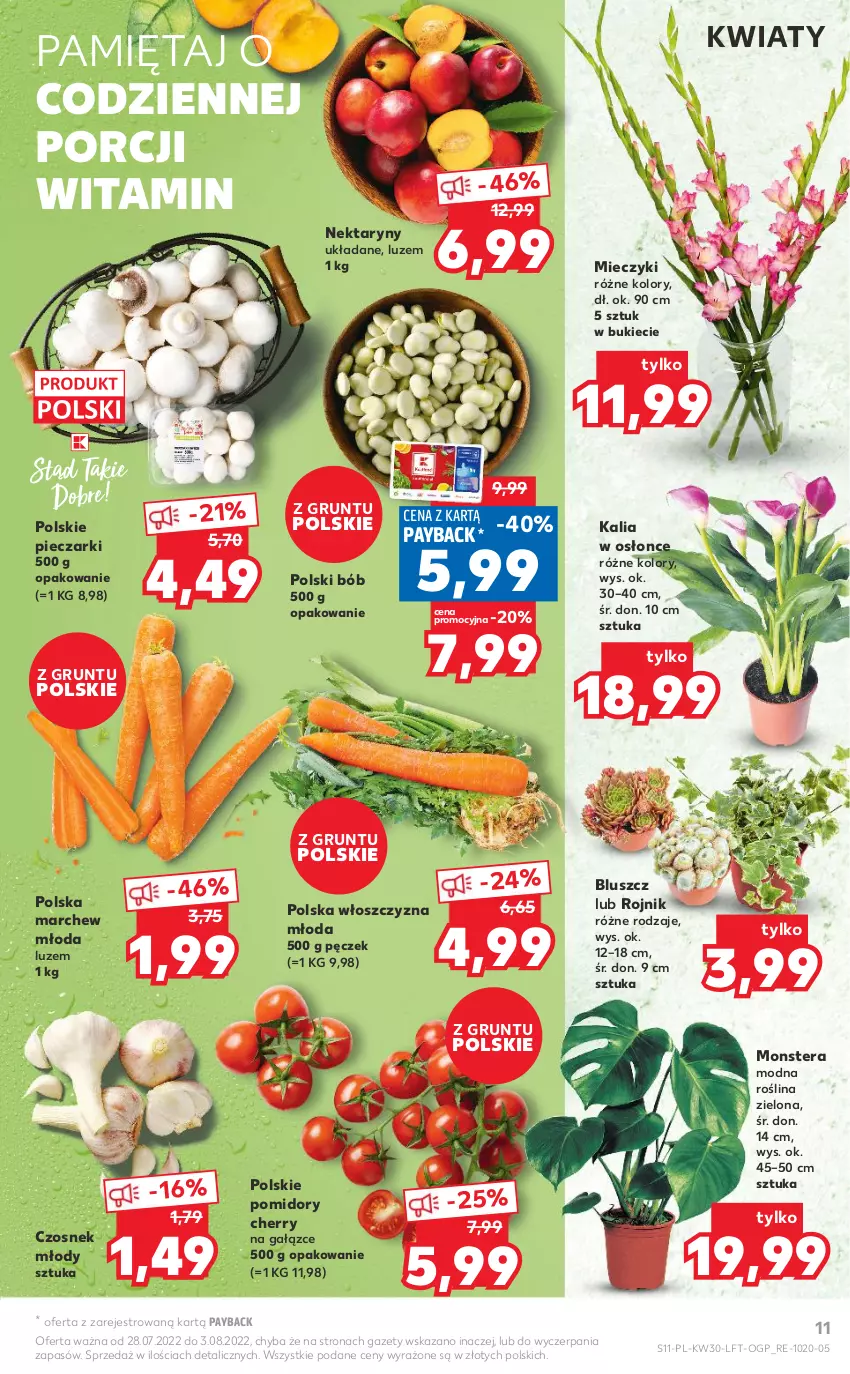 Gazetka promocyjna Kaufland - OFERTA TYGODNIA - ważna 28.07 do 03.08.2022 - strona 11 - produkty: Czosnek, Grunt, Miecz, Mięta, Nektar, Piec, Pomidory, Por, Tera