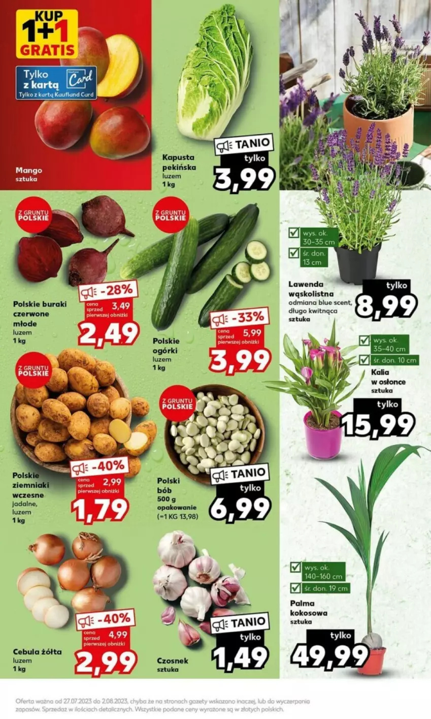 Gazetka promocyjna Kaufland - Kaufland Gazetka od 31.07.2023 do 02.08.2023 - ważna 31.07 do 02.08.2023 - strona 16 - produkty: Cebula