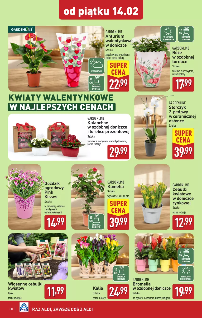 Gazetka promocyjna Aldi - Pełna oferta - ważna 10.02 do 15.02.2025 - strona 30 - produkty: Bromelia, Cynk, Kalanchoe, Sok, Storczyk, Torebka