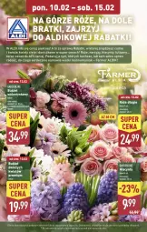Gazetka promocyjna Aldi - Pełna oferta - Gazetka - ważna od 15.02 do 15.02.2025 - strona 4 - produkty: Ser, Koc, Gra, Hiacynt, Tulipan, Kwiaty cięte, Tera, Bukiet, Narcyz, Fa