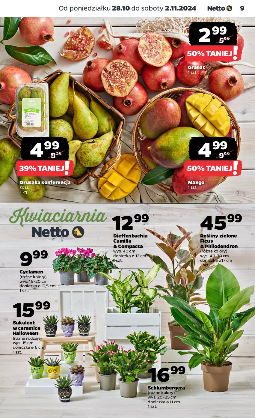 Gazetka promocyjna Netto - Netto Gazetka Food 44/24A - ważna 28.10 do 02.11.2024 - strona 9 - produkty: Chia, Gra, Granat, Kosz, Mango, NBA, Sukulent