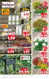 Gazetka promocyjna Kaufland - OFERTA TYGODNIA - Gazetka - ważna od 27.10 do 27.10.2021 - strona 15 - produkty: Gra, Chryzantema, Olej, Lakier, Wkład olejowy