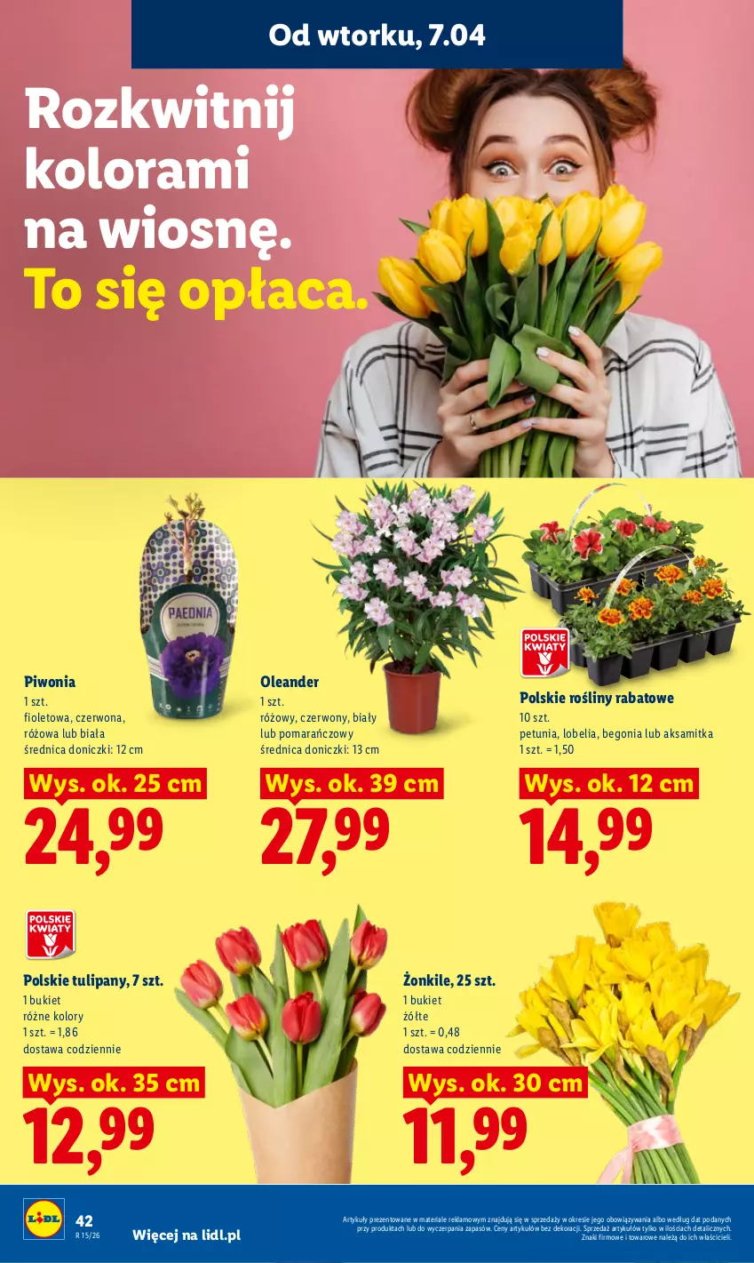 Gazetka promocyjna Lidl - Gazetka ważna od 7.04 do 8.04 - ważna 07.04 do 08.04.2026 - strona 46 - produkty: Aksam, Bukiet, Piwo, Tulipan