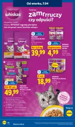 Gazetka promocyjna Lidl - Gazetka ważna od 7.04 do 8.04 - Gazetka - ważna od 08.04 do 08.04.2026 - strona 48 - produkty: Kurczak, Mokra karma, Whiskas, Kaczka, Tera, Przysmaki, Wołowina, Sucha karma