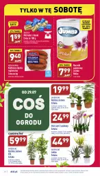 Gazetka promocyjna Aldi - Katalog spożywczy - Gazetka - ważna od 30.07 do 30.07.2022 - strona 28 - produkty: Sok, Papier, Storczyk, Ręcznik, Ręczniki papierowe, Kiełbasa, Michałki, Kokos, Kiełbasa śląska